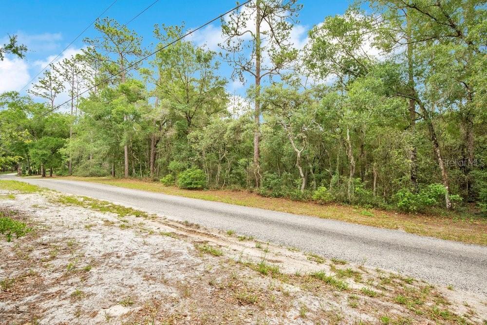 1121 SILVER SADDLE TRL, DELAND, FL, 32724