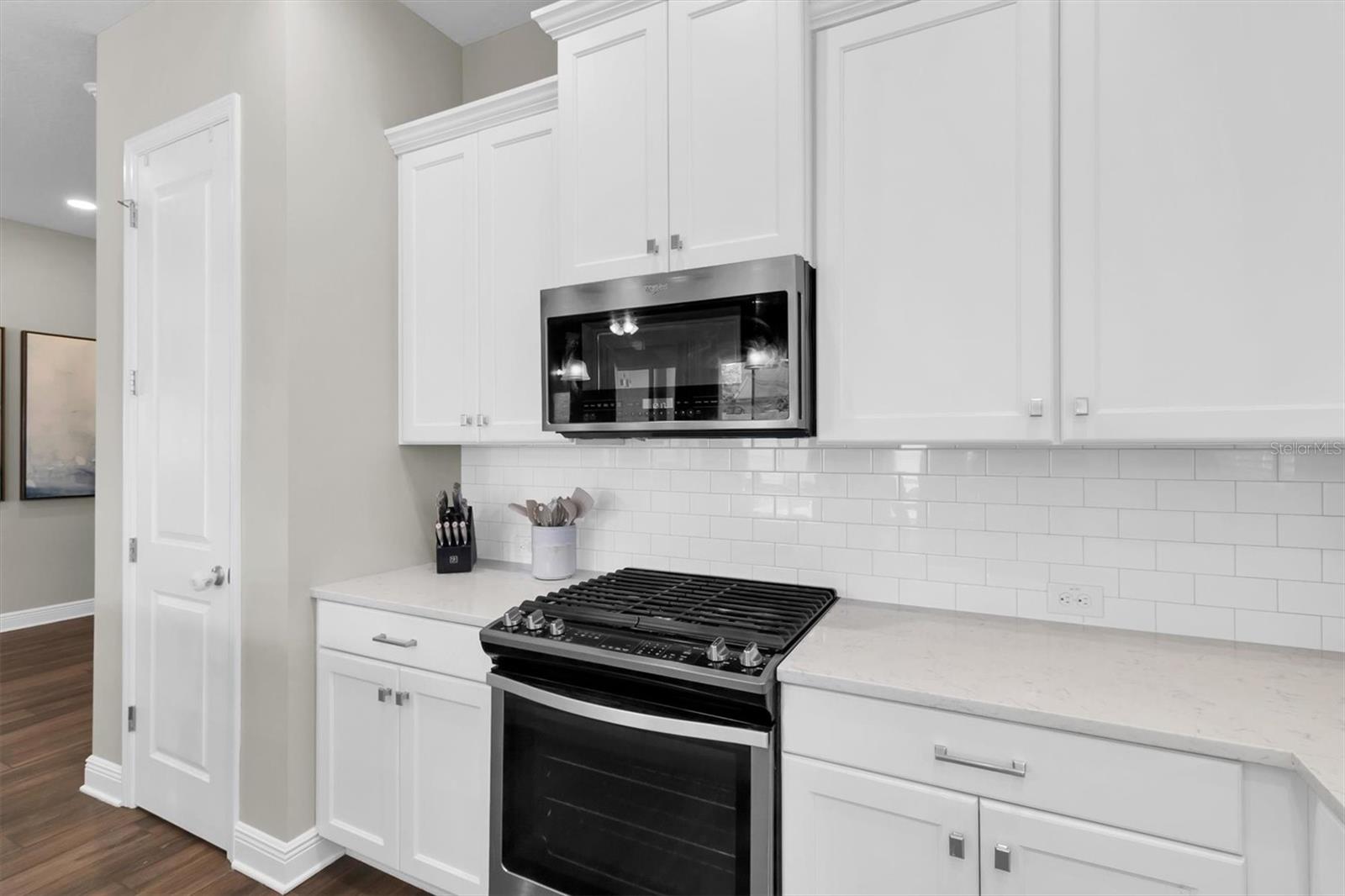 2784 SATILLA LOOP, ODESSA, FL, 33556
