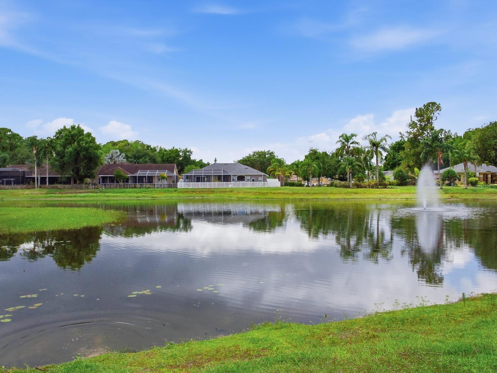 6320 NIKKI LN, TAMPA, FL, 33625