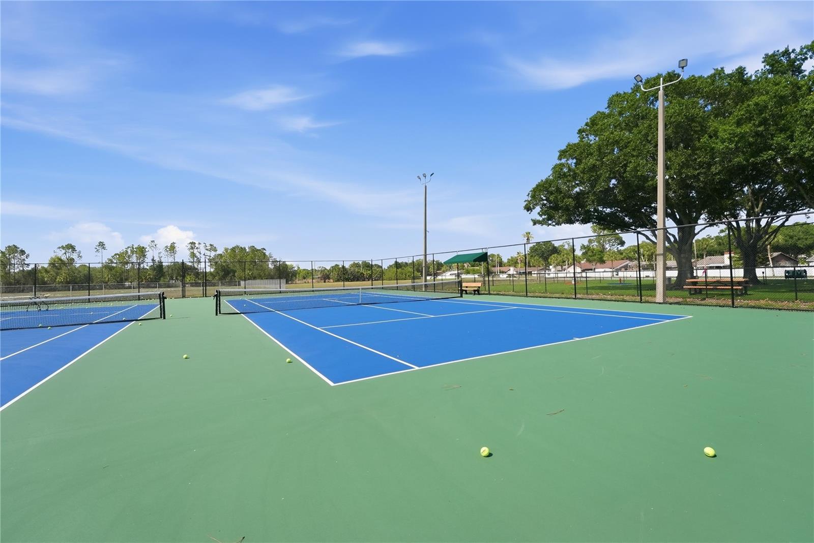 12942 FENNWAY RIDGE DR, RIVERVIEW, FL, 33579