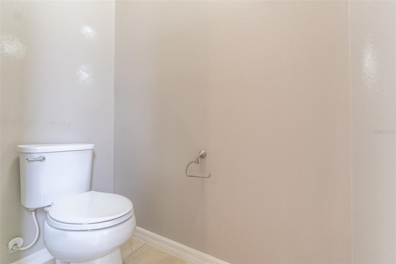 10514 MEDFORD LAKE DR, RIVERVIEW, FL, 33578