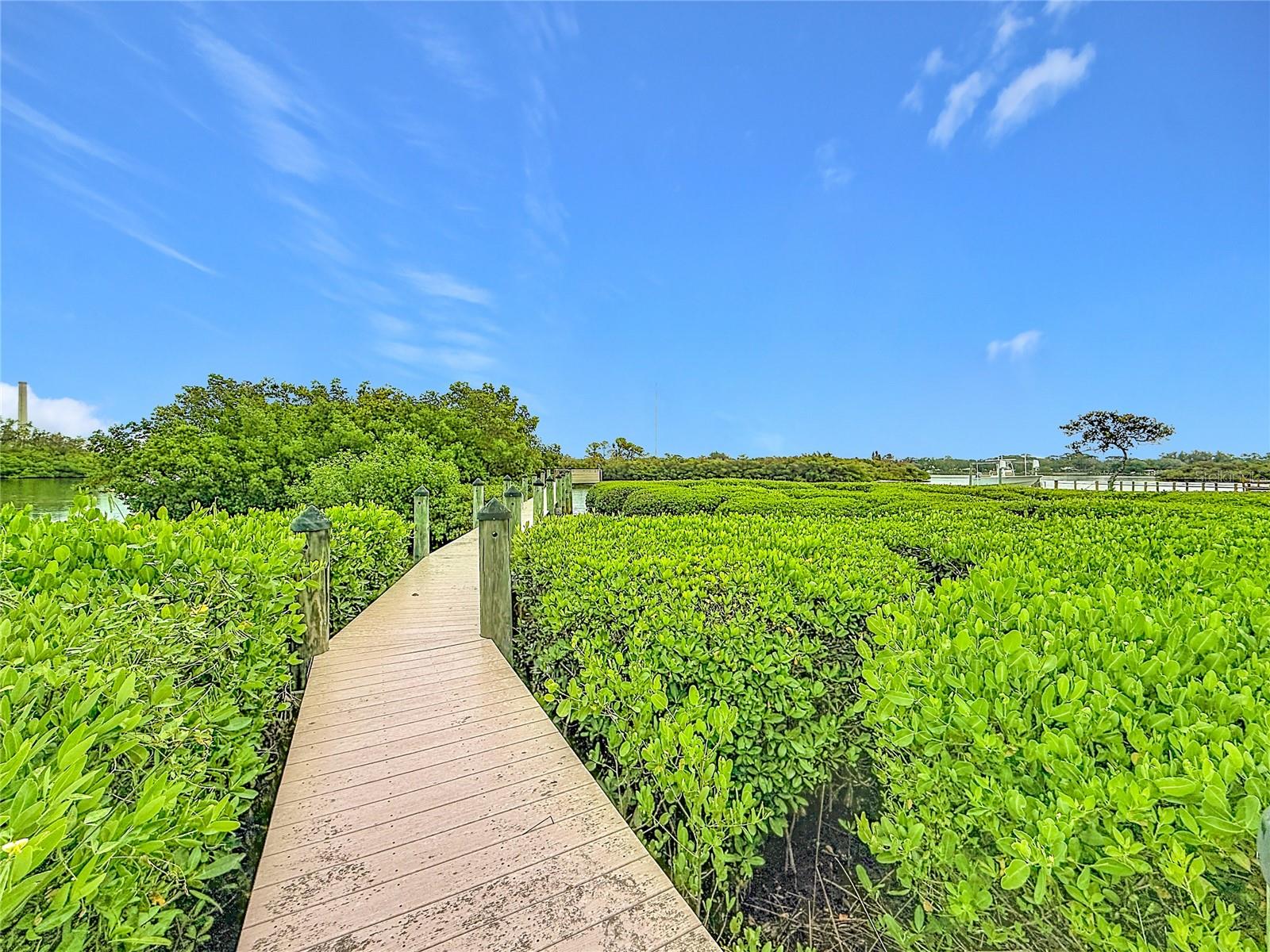 2021 NORTH POINTE ALEXIS DR, TARPON SPRINGS, FL, 34689
