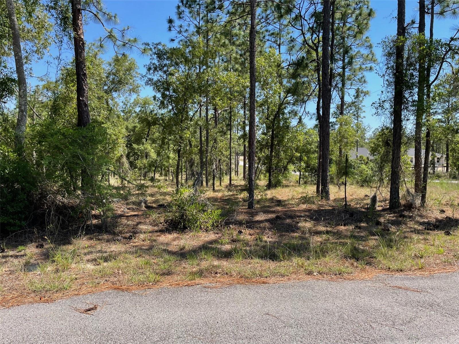 LOT 1 NW MANDRAKE DR, DUNNELLON, FL, 34431