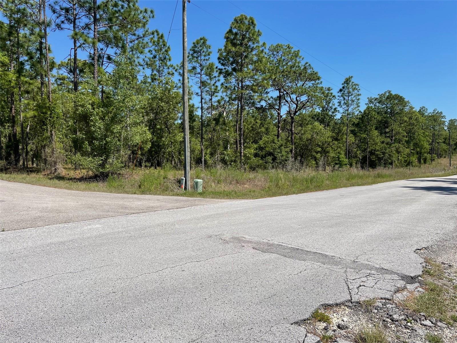 LOT 1 NW MANDRAKE DR, DUNNELLON, FL, 34431