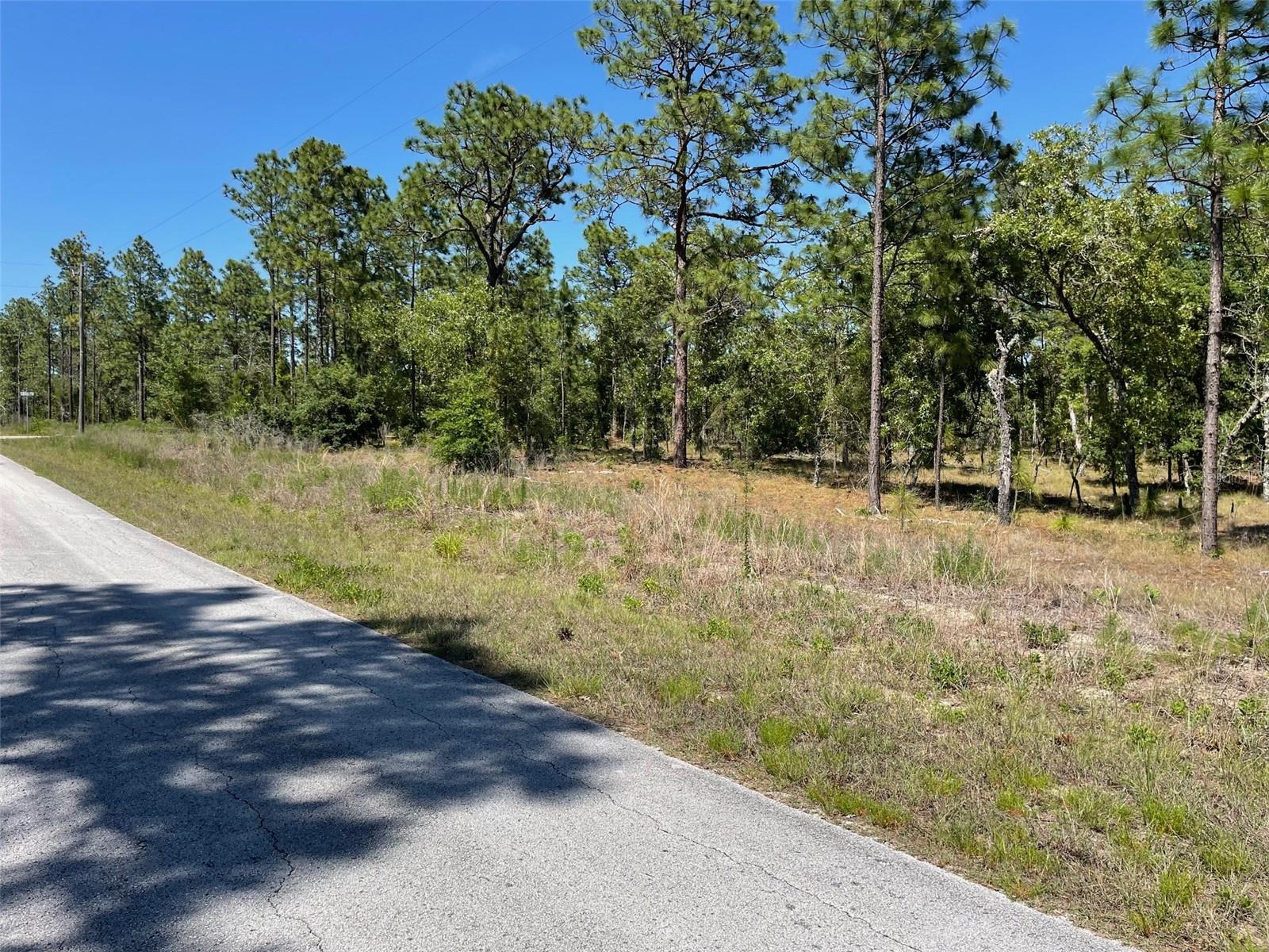 LOT 1 NW MANDRAKE DR, DUNNELLON, FL, 34431