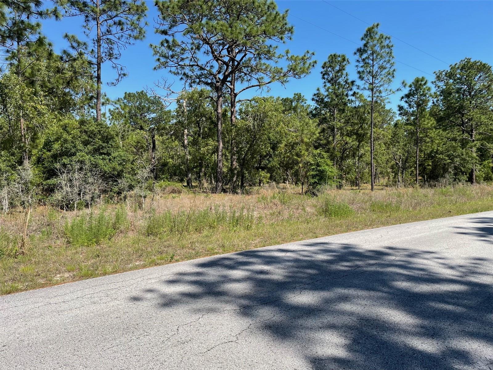 LOT 1 NW MANDRAKE DR, DUNNELLON, FL, 34431