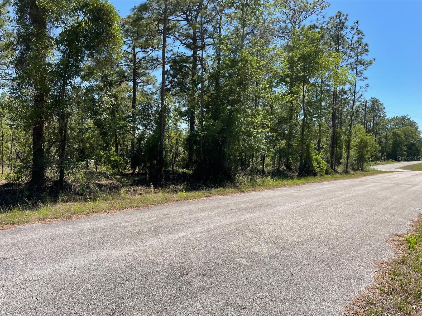 LOT 1 NW MANDRAKE DR, DUNNELLON, FL, 34431