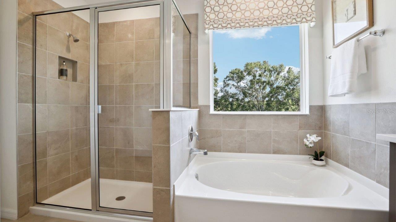 17472 ACORN DROP RD, LAND O LAKES, FL, 34638