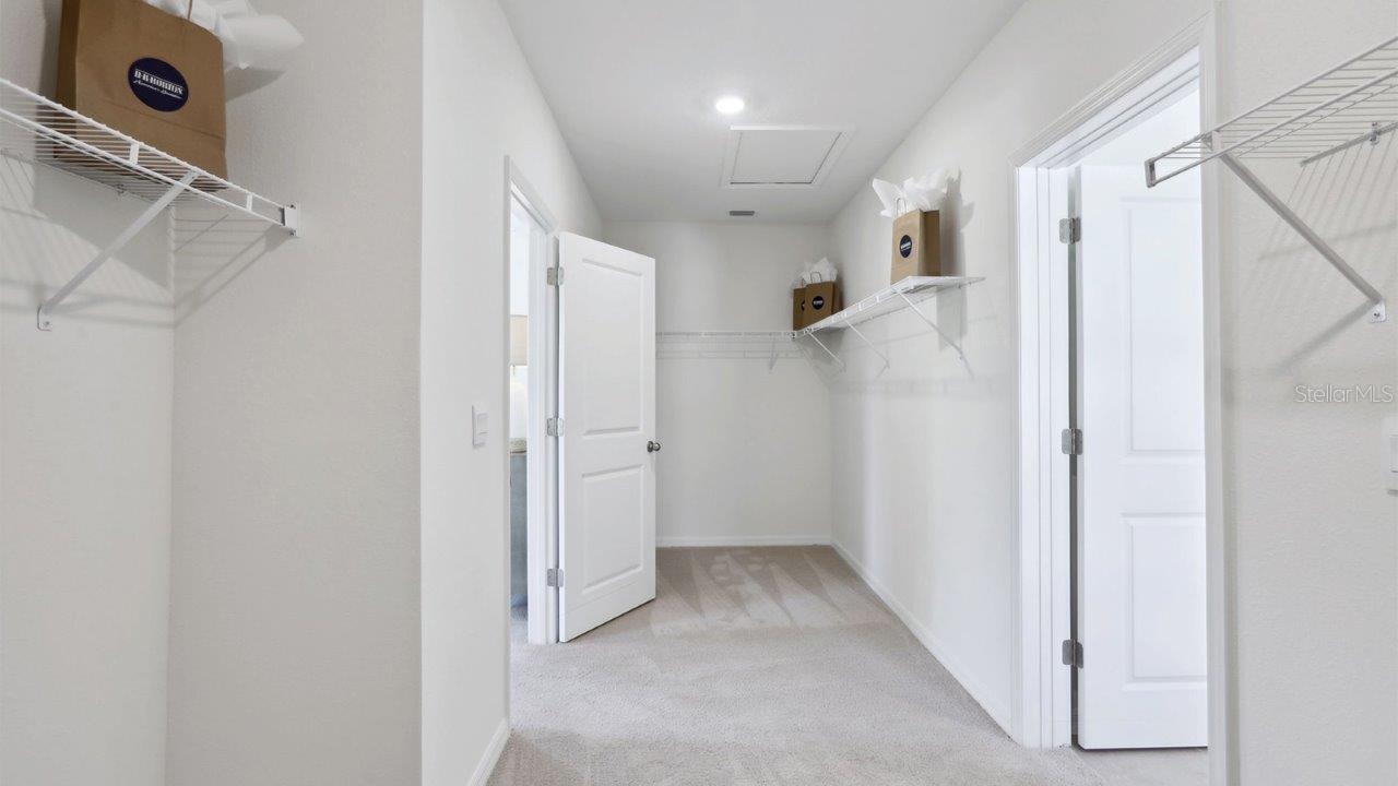17472 ACORN DROP RD, LAND O LAKES, FL, 34638