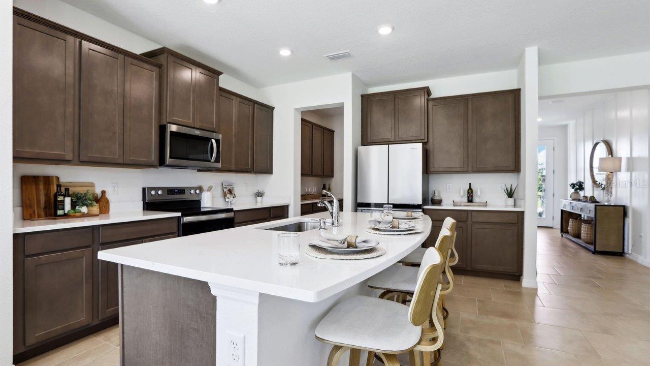 17472 ACORN DROP RD, LAND O LAKES, FL, 34638