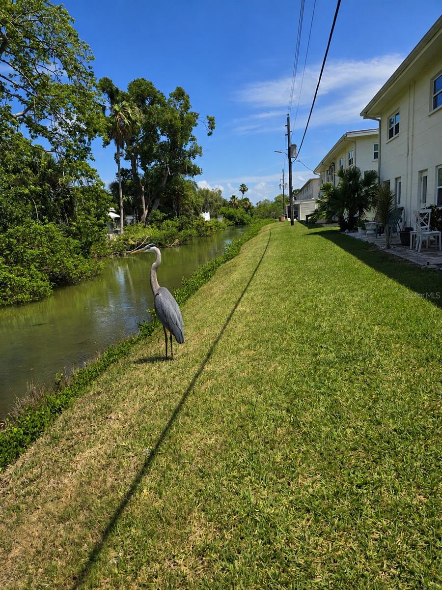 4565 DUHME RD #102, ST PETERSBURG, FL, 33708