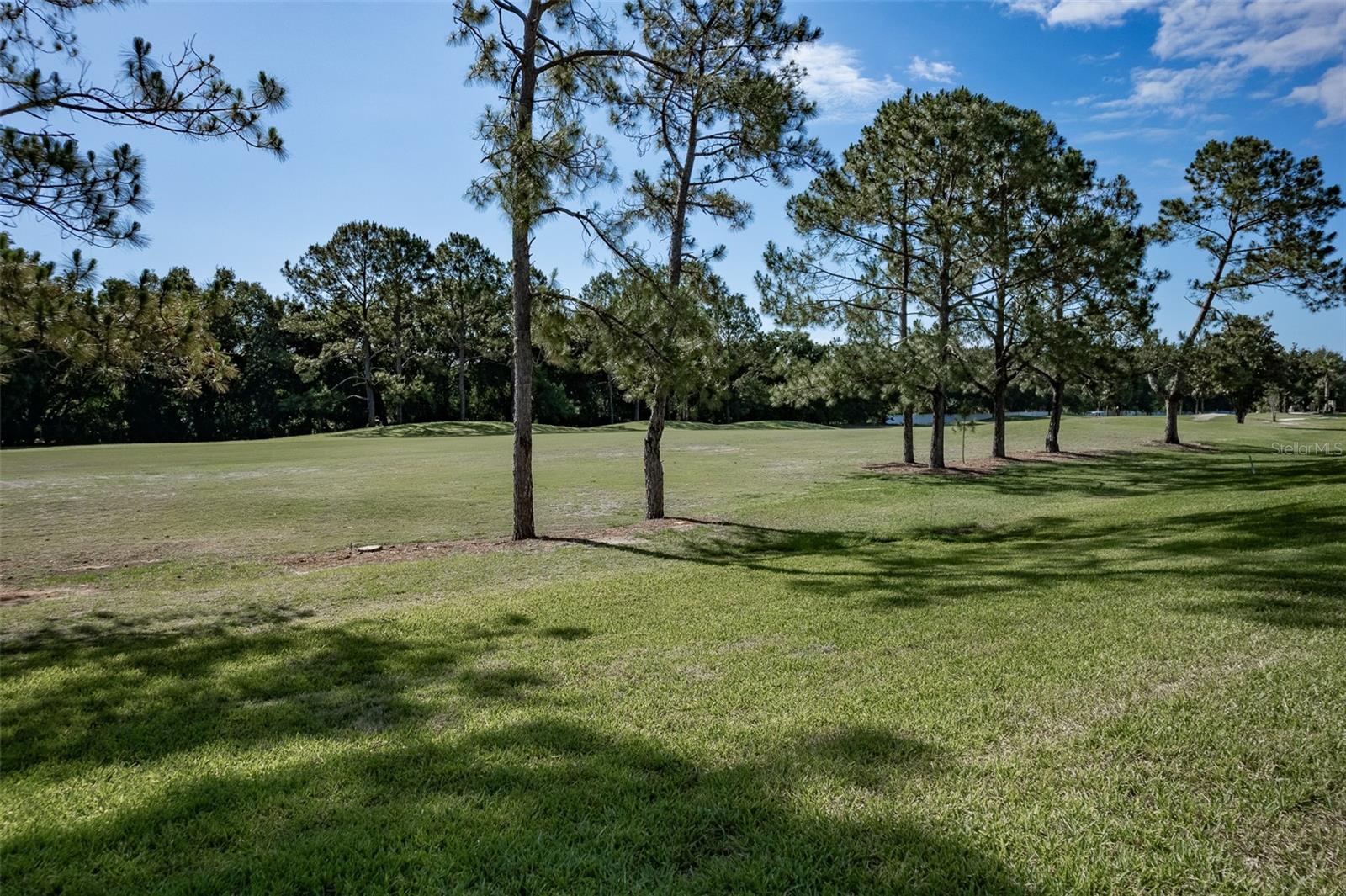 16023 SW 14TH AVENUE RD, OCALA, FL, 34473