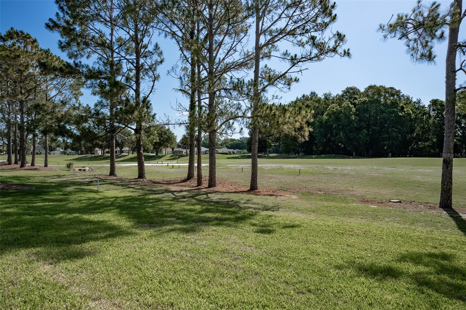 16023 SW 14TH AVENUE RD, OCALA, FL, 34473