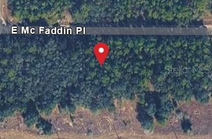 389 E MC FADDIN PL E, DUNNELLON, FL, 34434