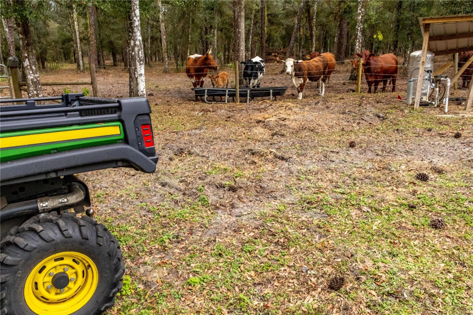 24091 RICHBARN RD, BROOKSVILLE, FL, 34601