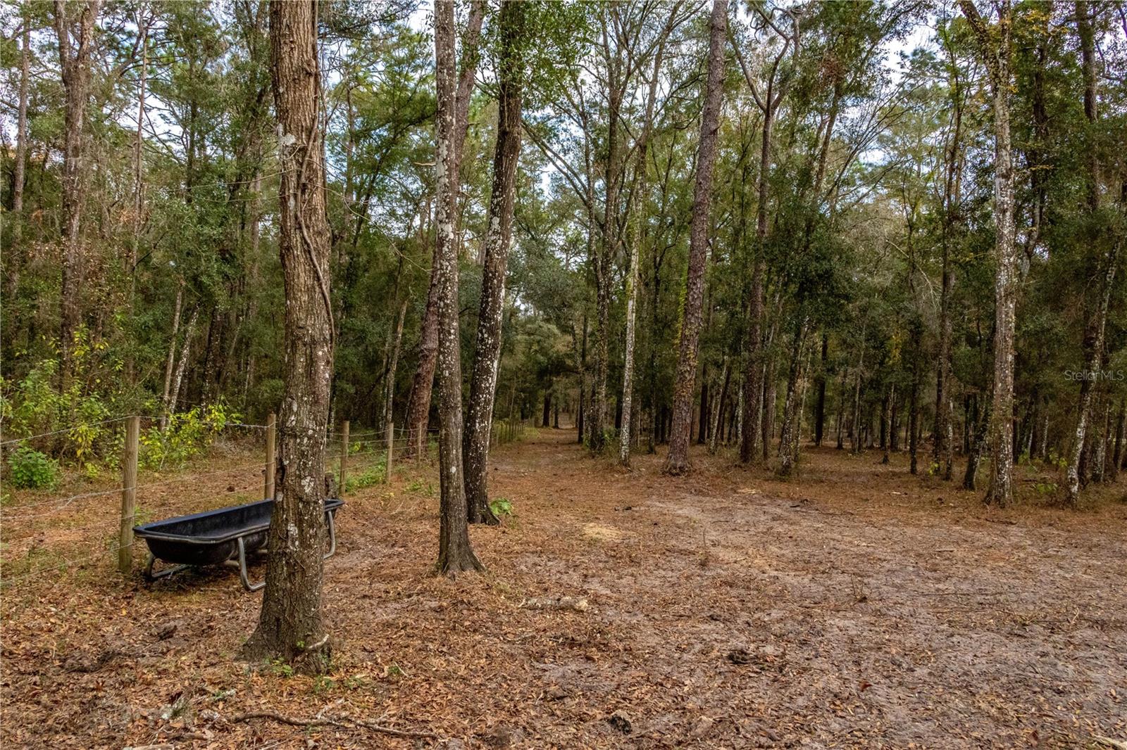 24091 RICHBARN RD, BROOKSVILLE, FL, 34601