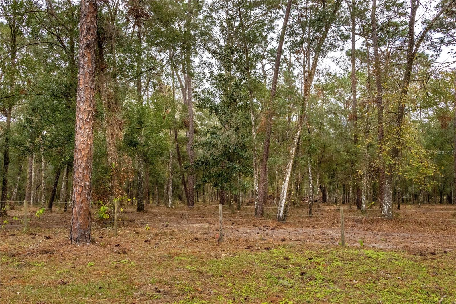 24091 RICHBARN RD, BROOKSVILLE, FL, 34601
