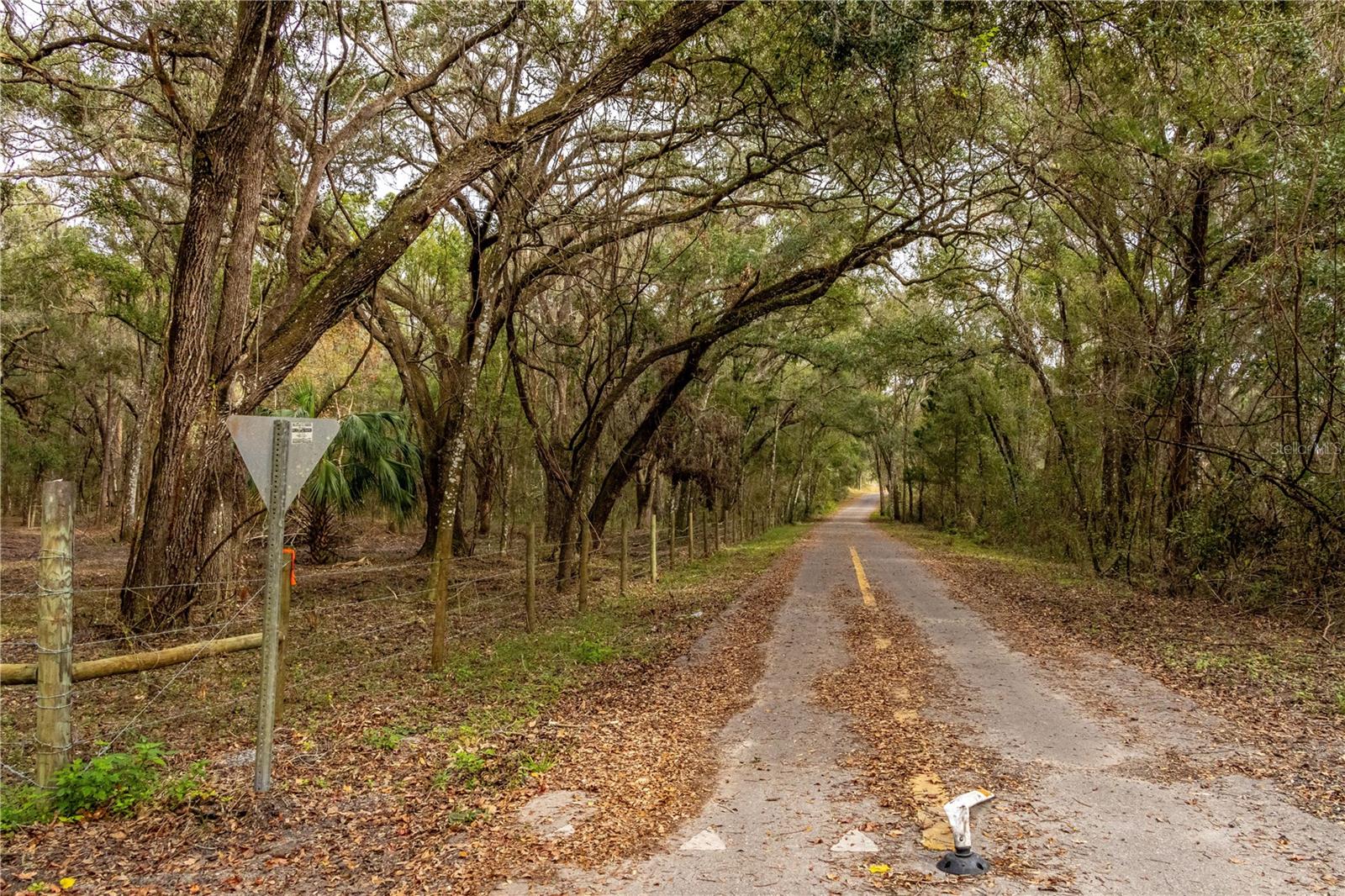 24091 RICHBARN RD, BROOKSVILLE, FL, 34601