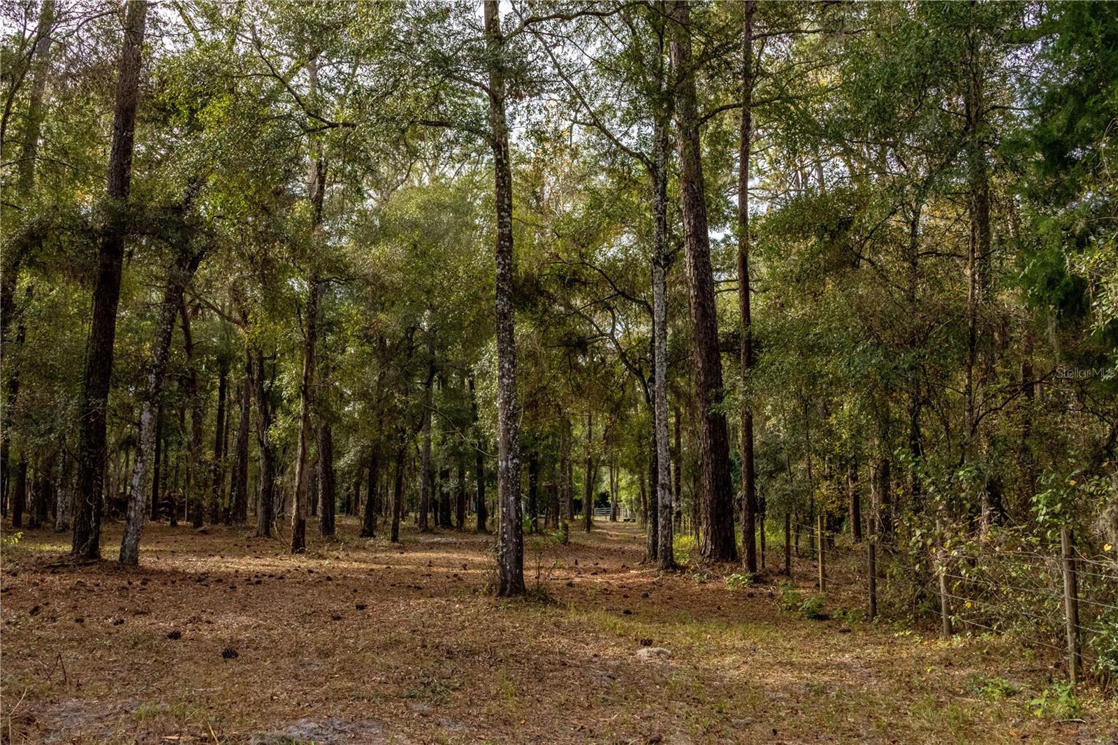 24091 RICHBARN RD, BROOKSVILLE, FL, 34601