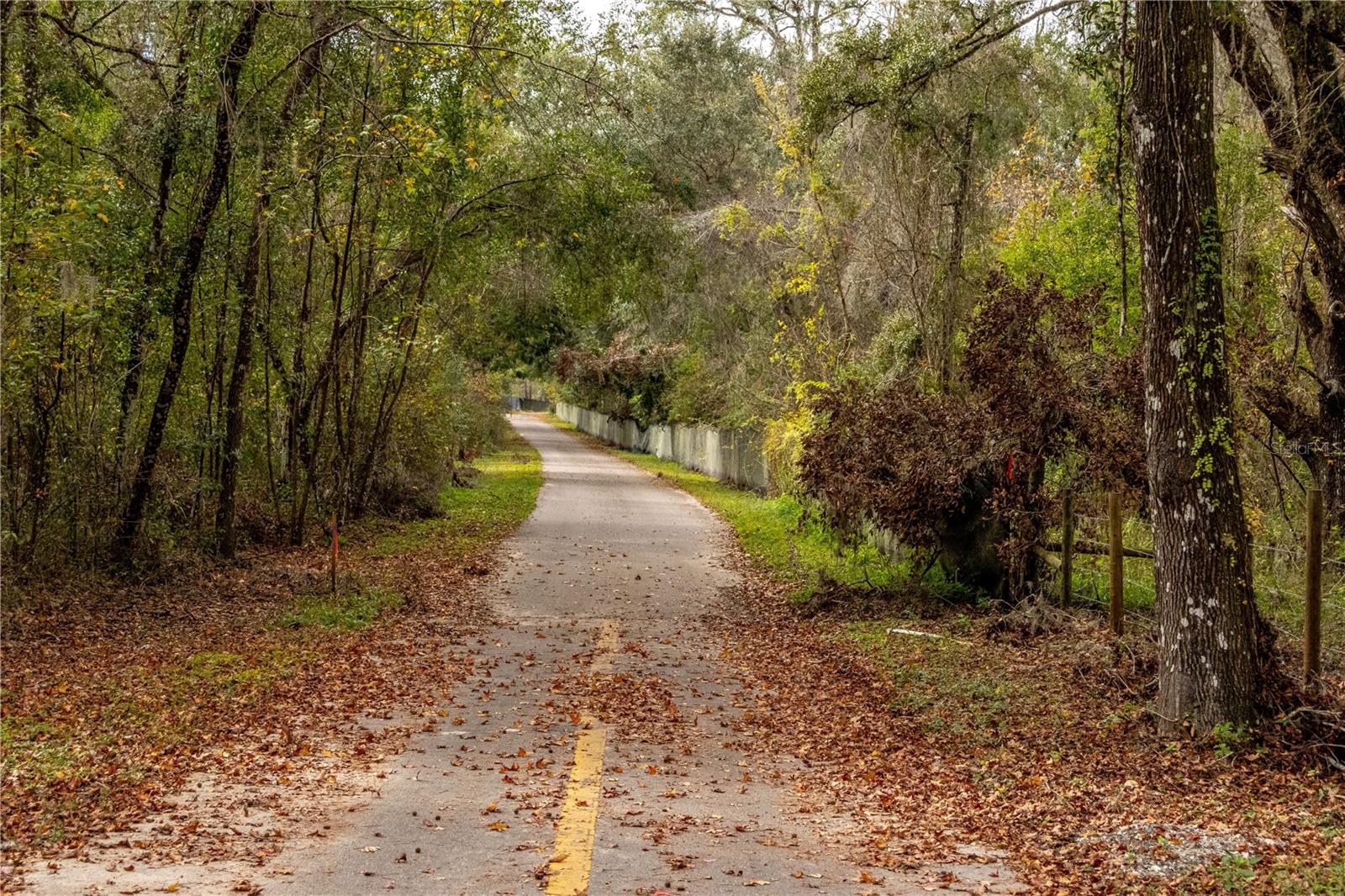 24091 RICHBARN RD, BROOKSVILLE, FL, 34601