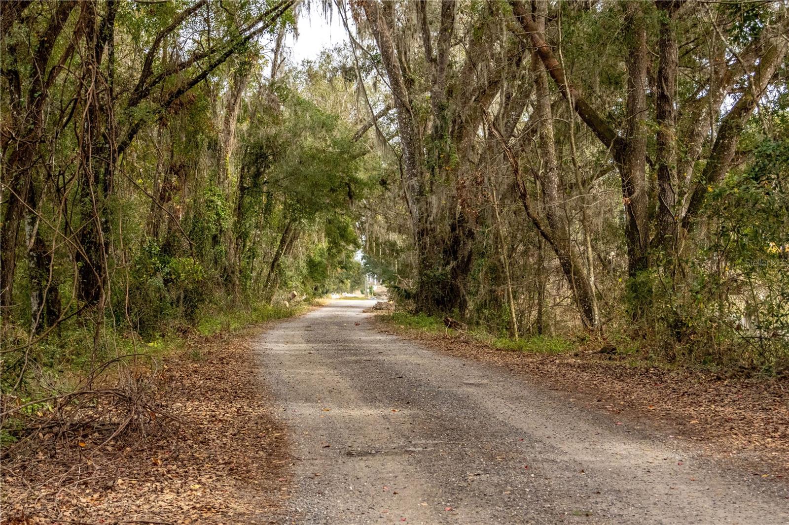24091 RICHBARN RD, BROOKSVILLE, FL, 34601
