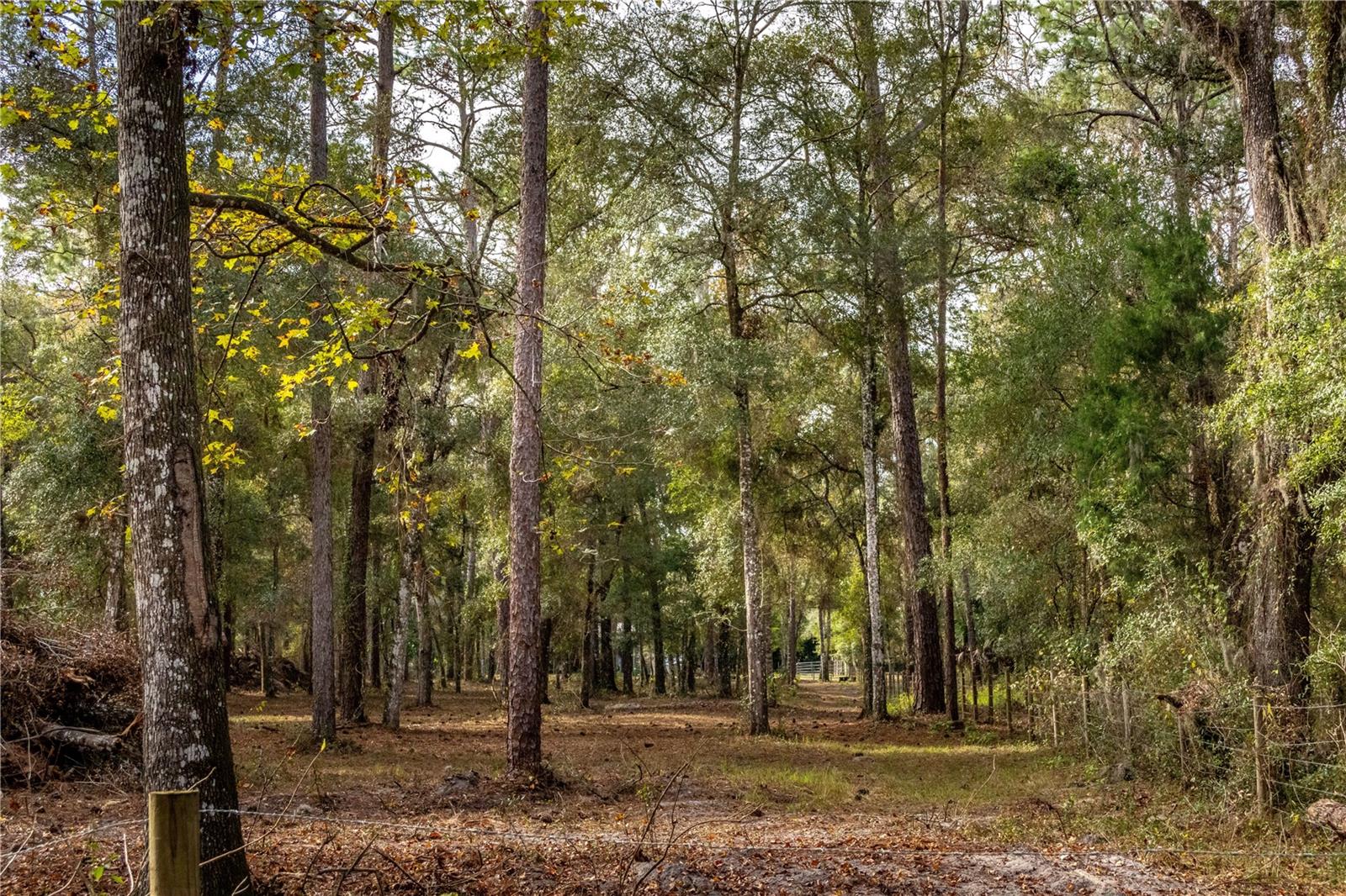 24091 RICHBARN RD, BROOKSVILLE, FL, 34601