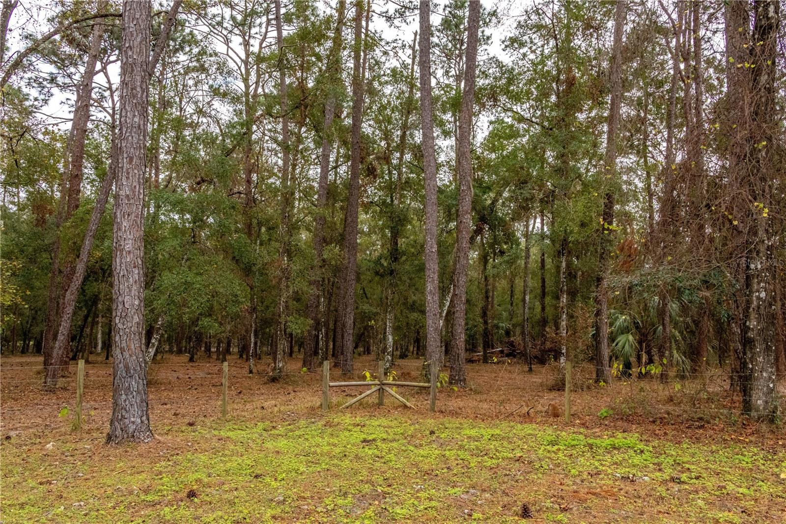 24091 RICHBARN RD, BROOKSVILLE, FL, 34601