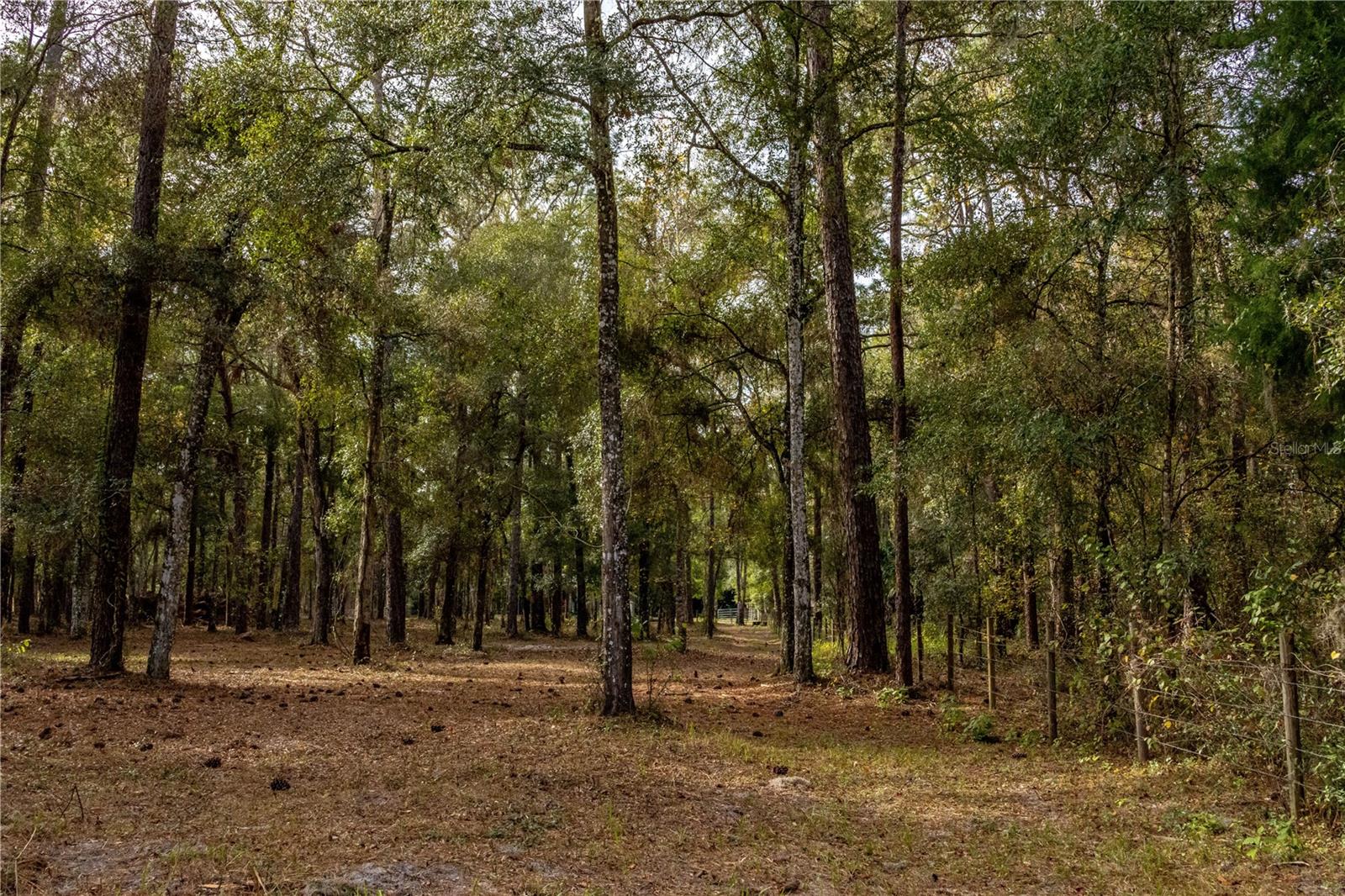 24091 RICHBARN RD, BROOKSVILLE, FL, 34601