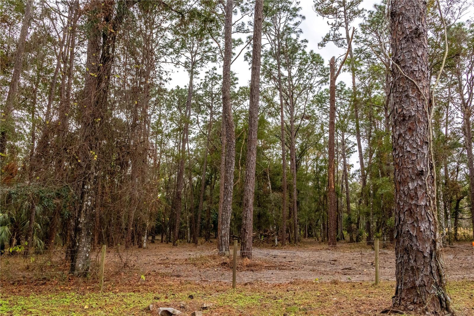 24091 RICHBARN RD, BROOKSVILLE, FL, 34601