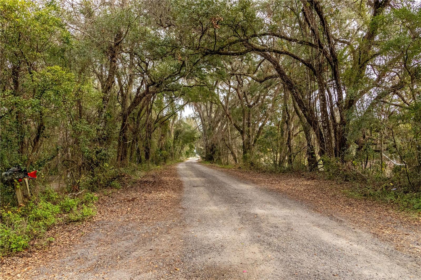 24091 RICHBARN RD, BROOKSVILLE, FL, 34601