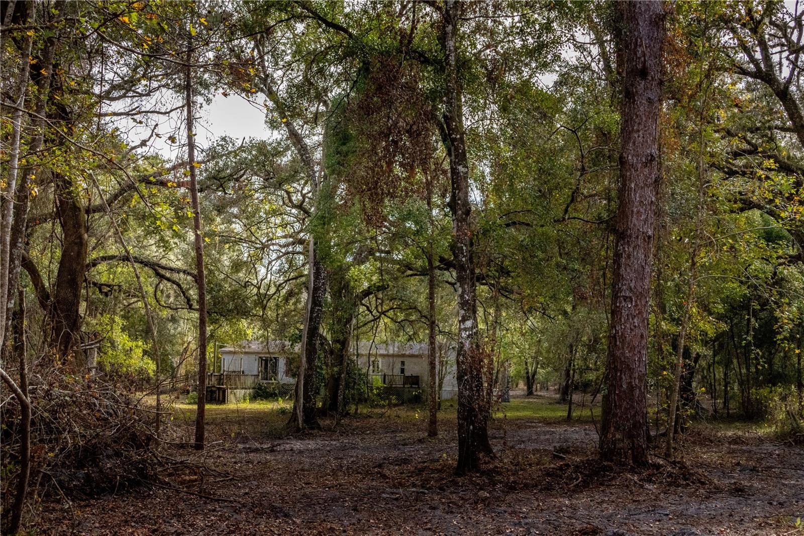 24091 RICHBARN RD, BROOKSVILLE, FL, 34601