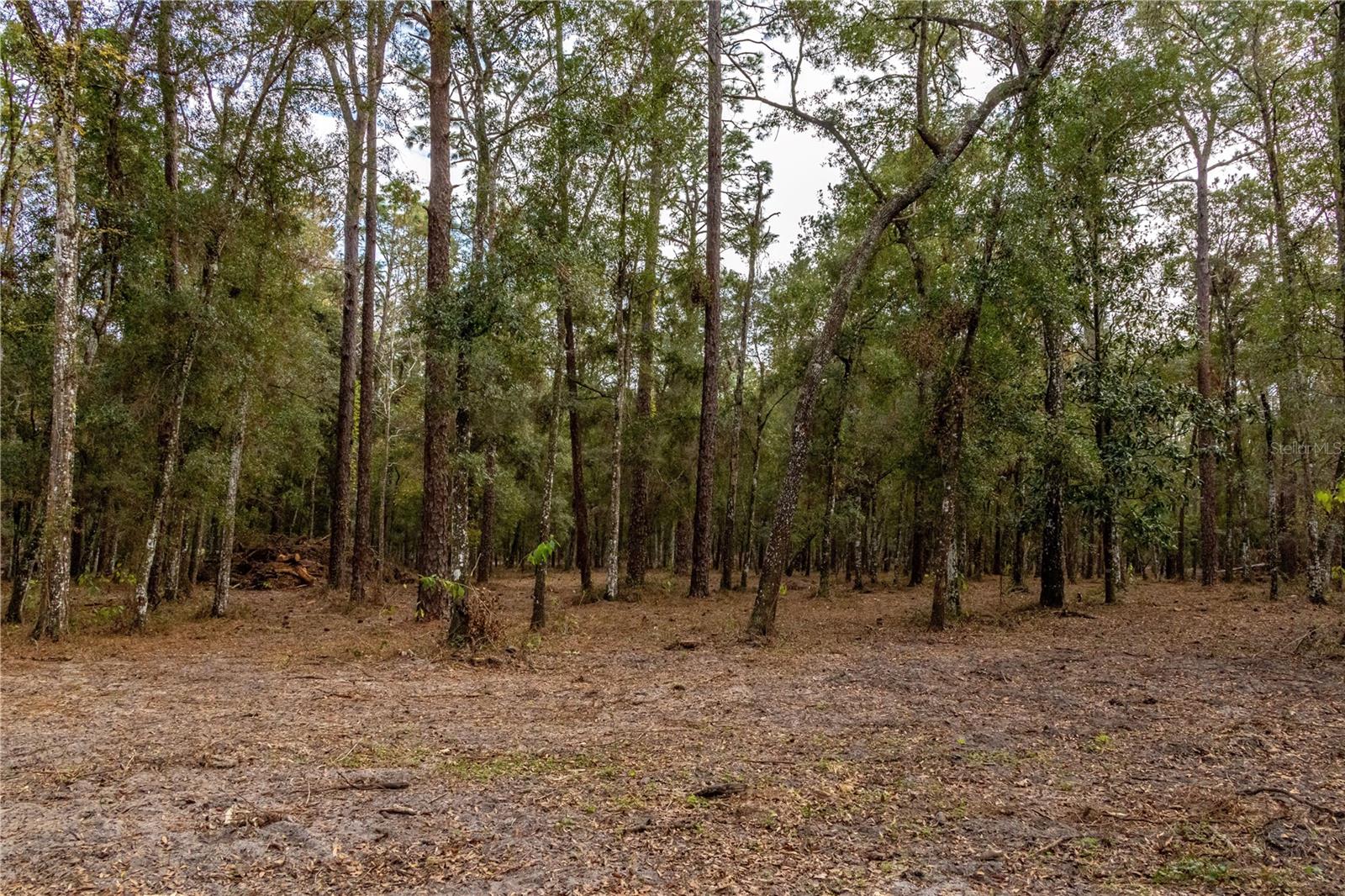 24091 RICHBARN RD, BROOKSVILLE, FL, 34601