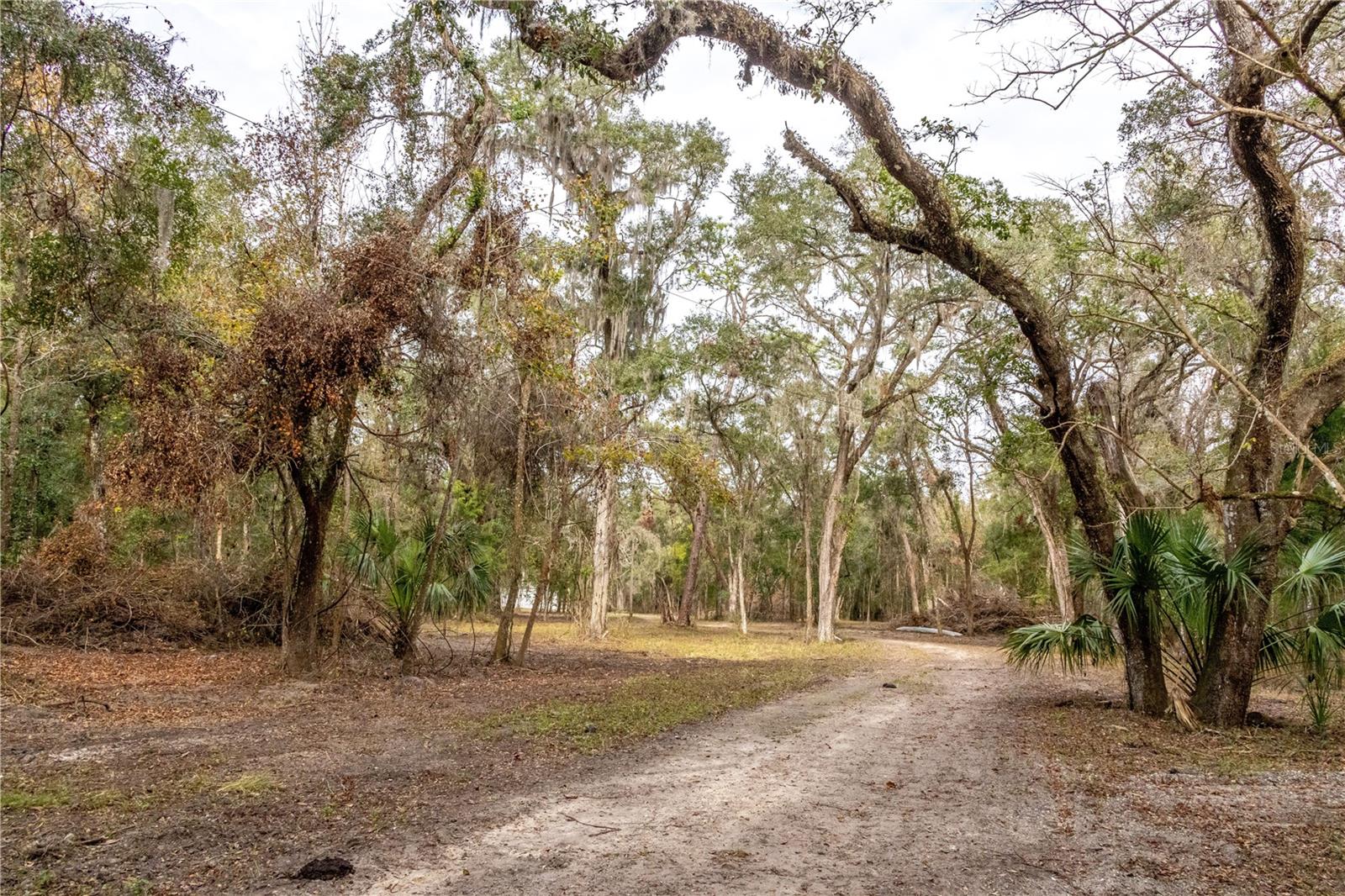 24091 RICHBARN RD, BROOKSVILLE, FL, 34601