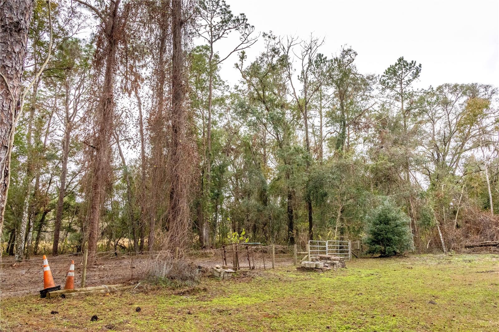 24091 RICHBARN RD, BROOKSVILLE, FL, 34601