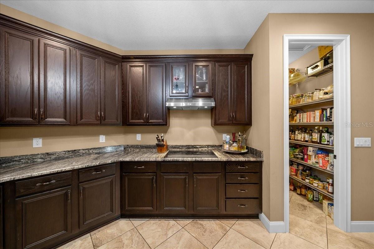 3922 SW 115TH ST, OCALA, FL, 34476