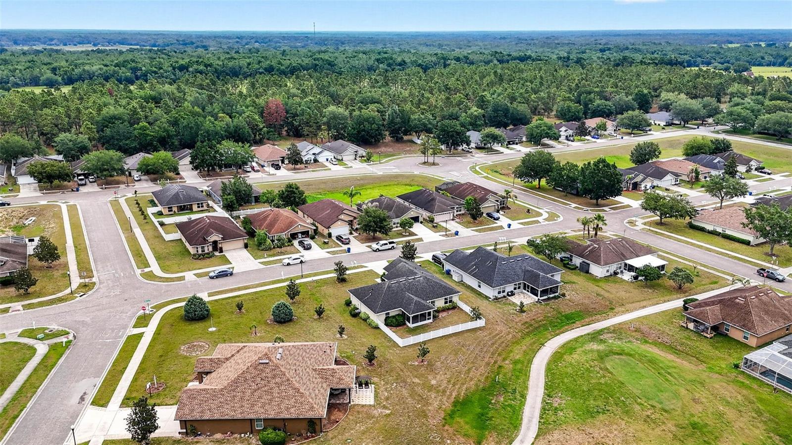 31076 WATER LILY DR, BROOKSVILLE, FL, 34602
