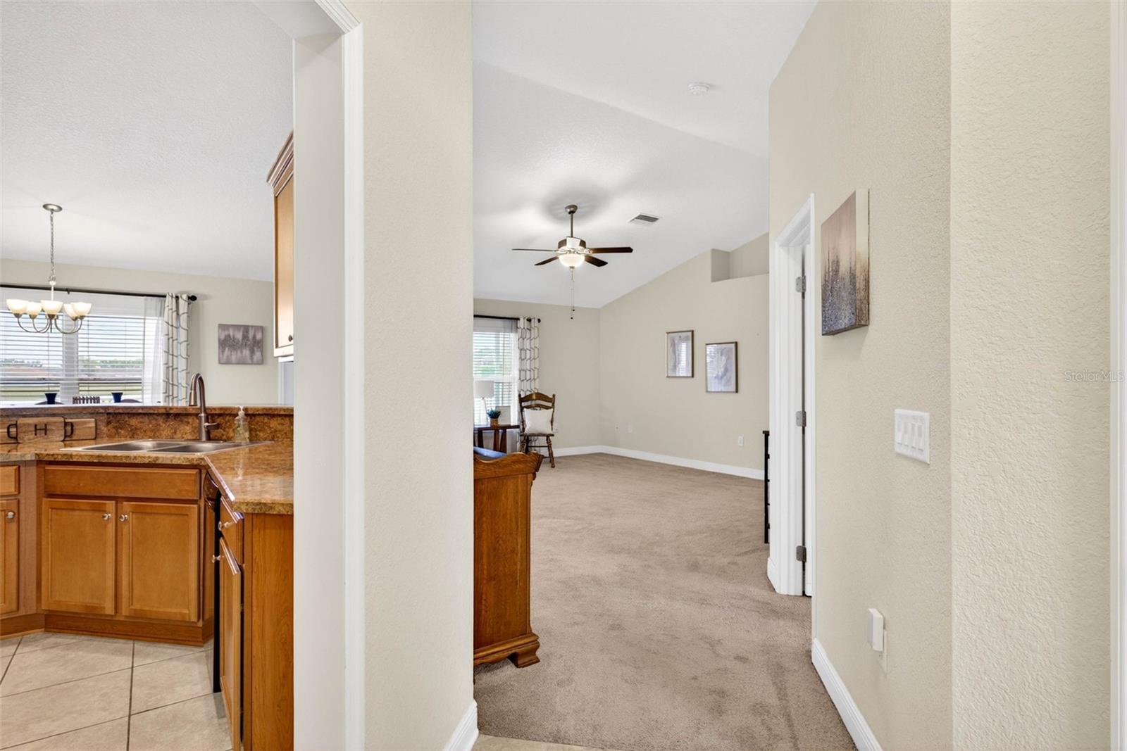 31076 WATER LILY DR, BROOKSVILLE, FL, 34602