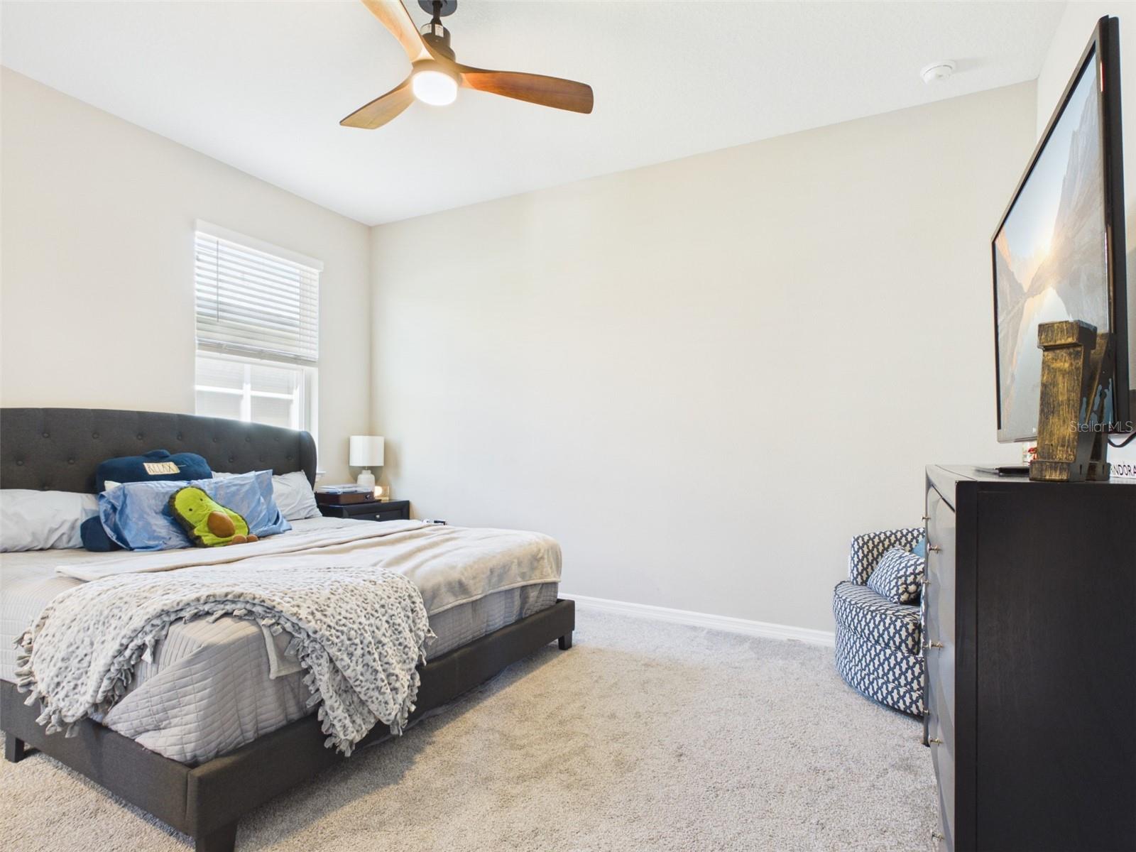 7813 SW 56TH PL, OCALA, FL, 34474