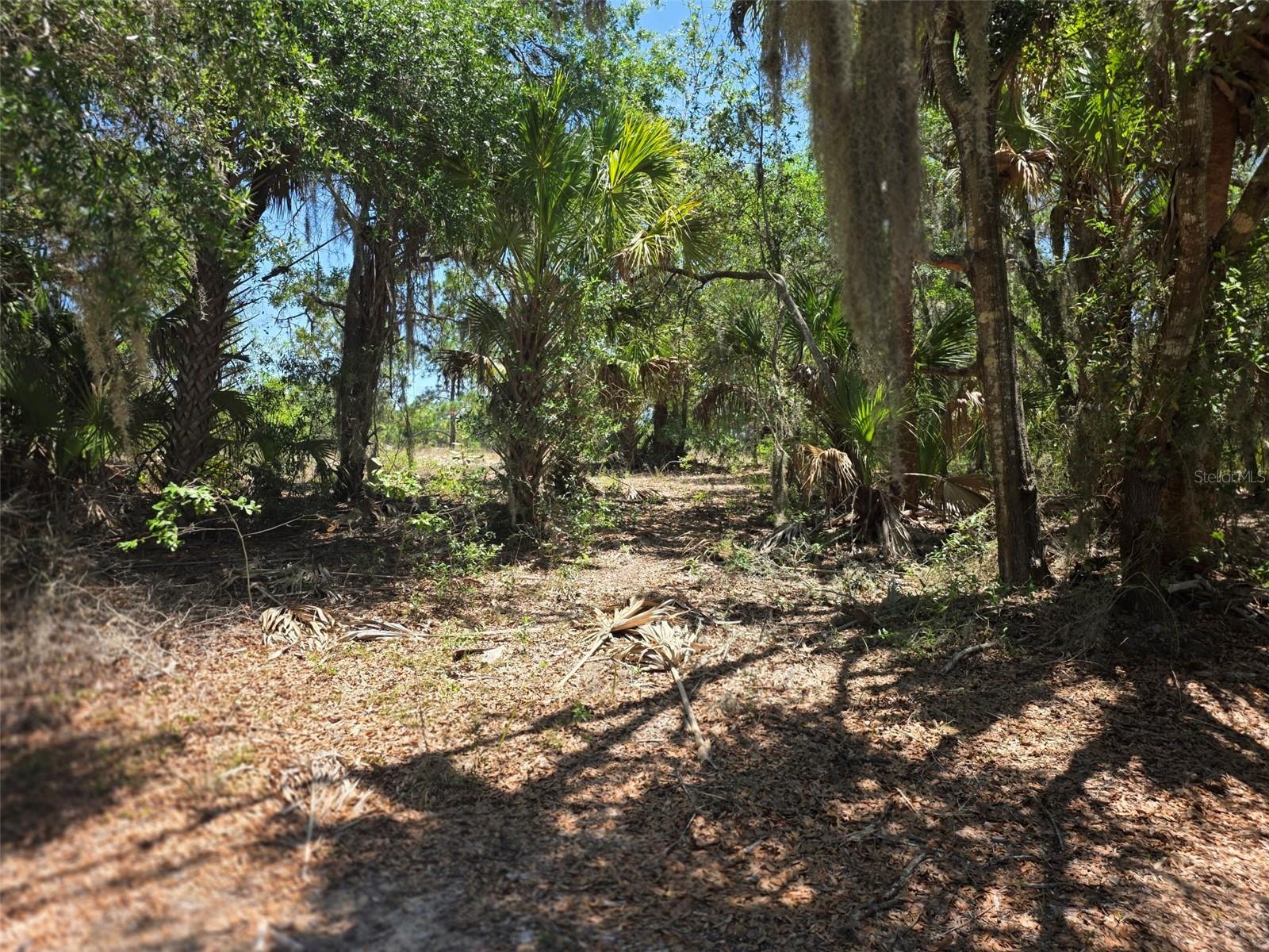 11837 N CAPTIVA TER, DUNNELLON, FL, 34433