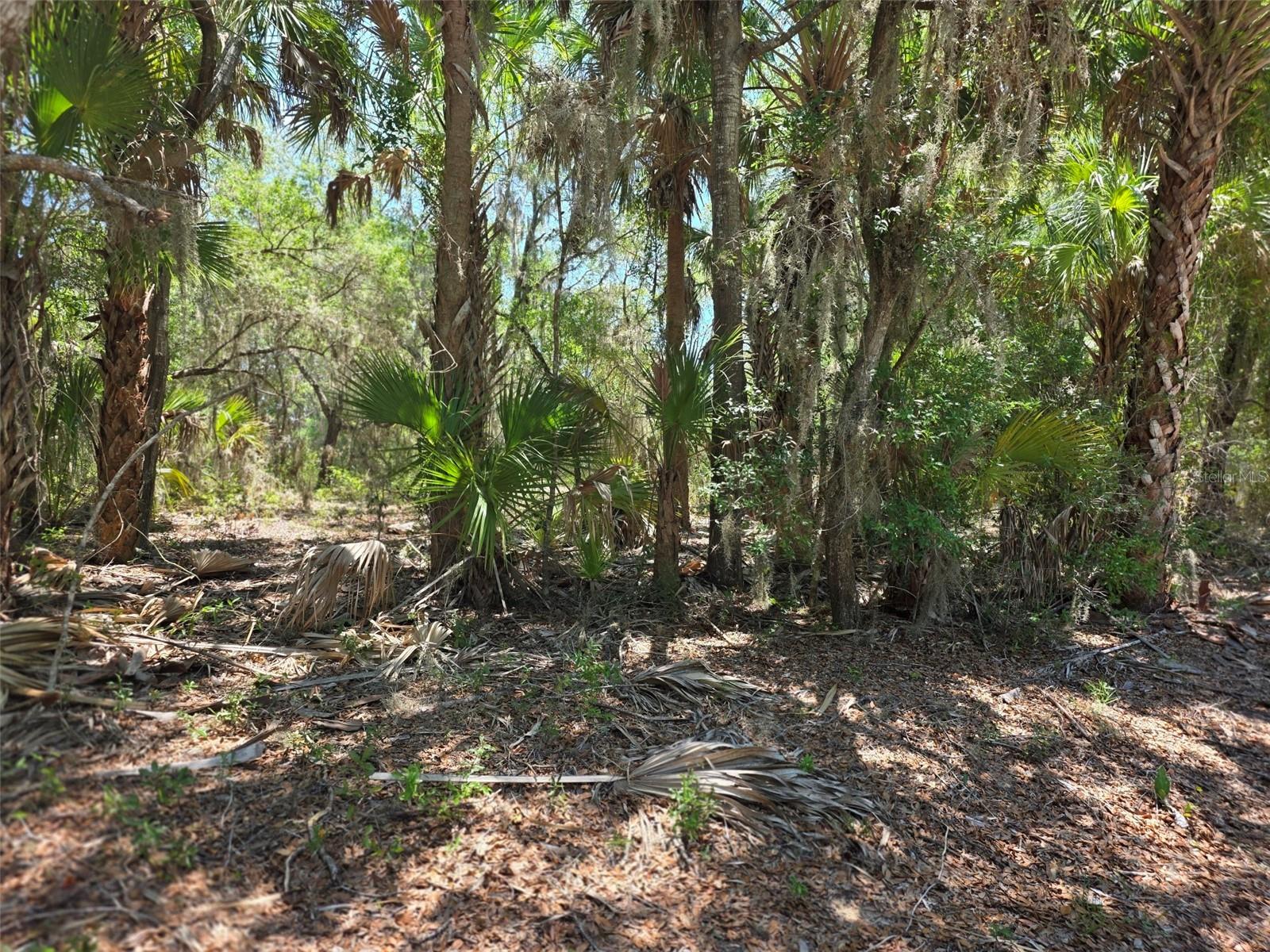 11837 N CAPTIVA TER, DUNNELLON, FL, 34433
