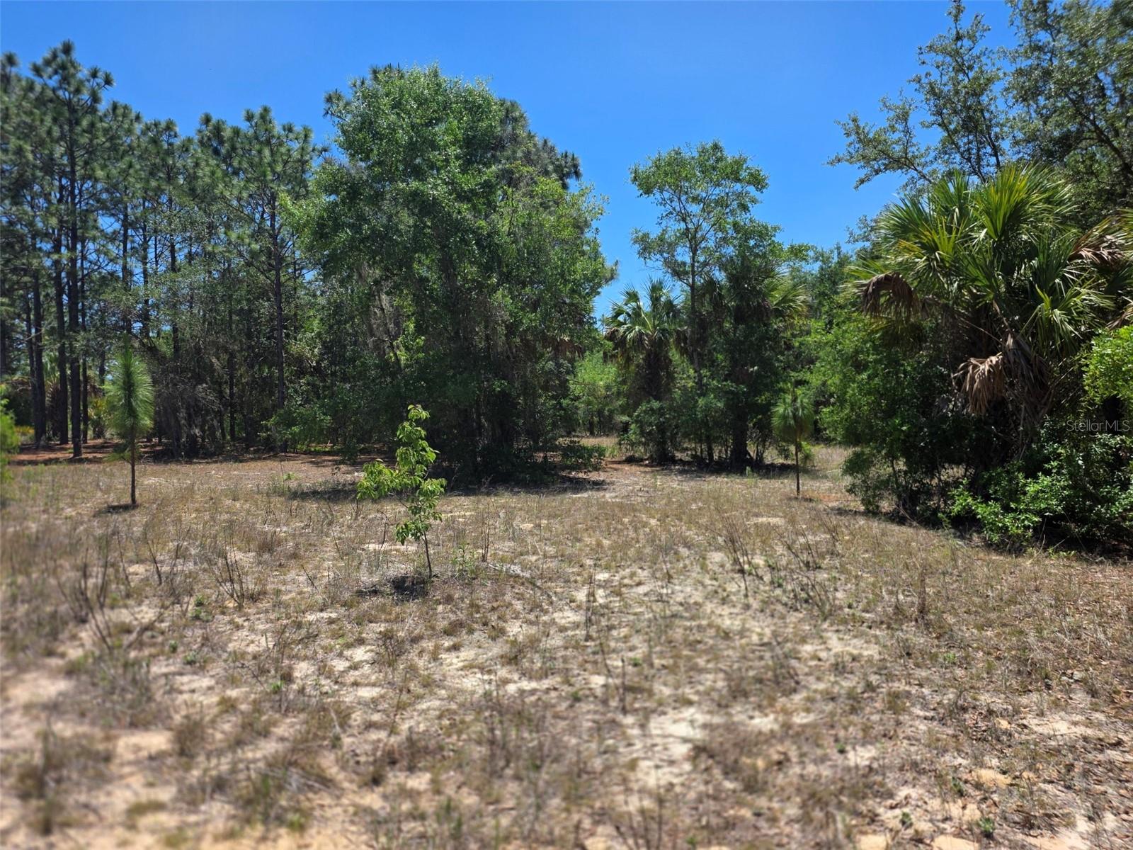 11837 N CAPTIVA TER, DUNNELLON, FL, 34433