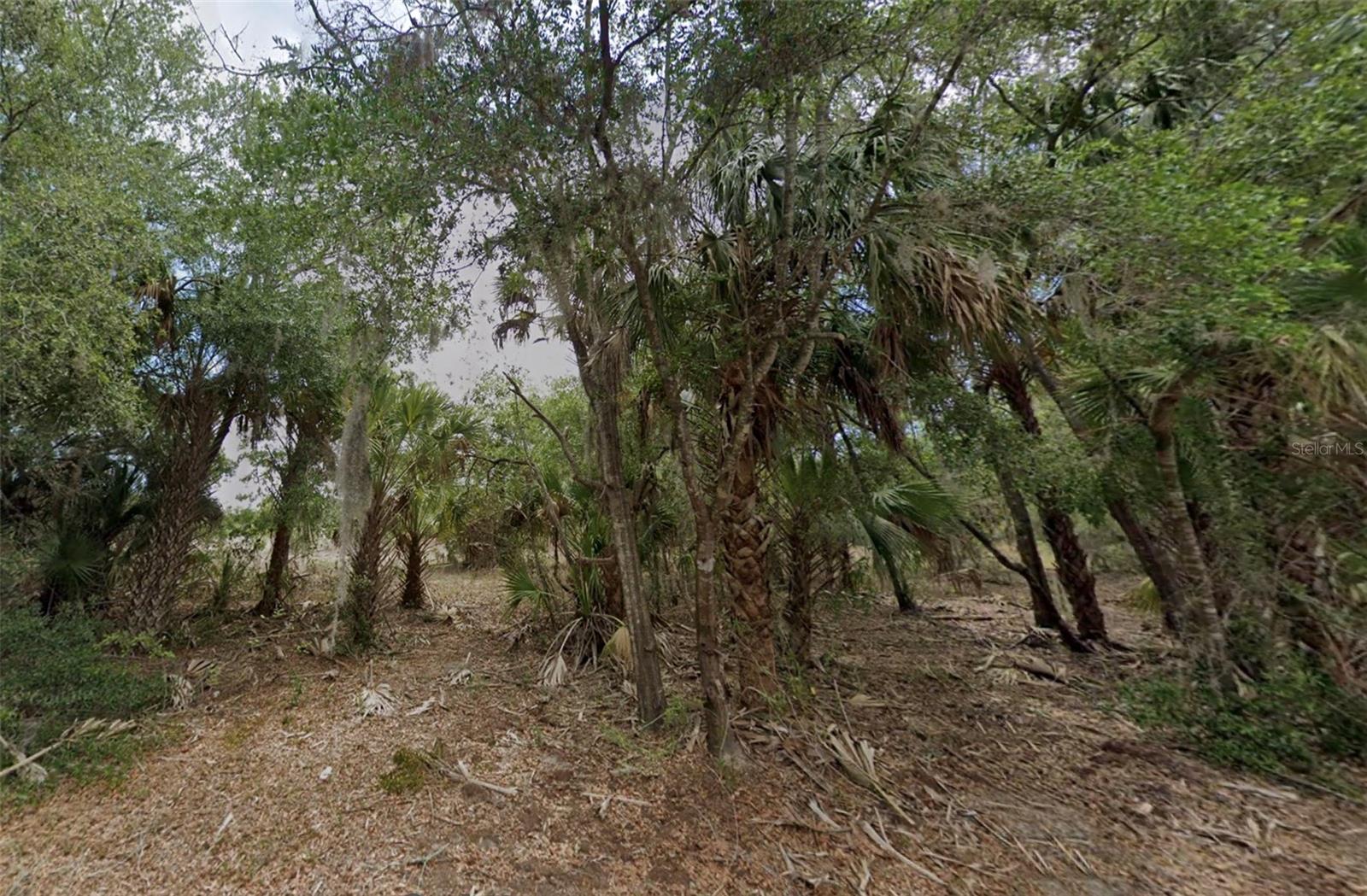 11837 N CAPTIVA TER, DUNNELLON, FL, 34433