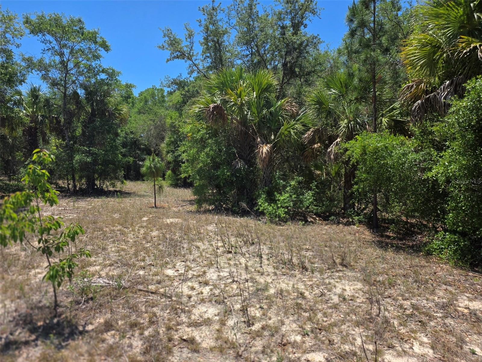 11837 N CAPTIVA TER, DUNNELLON, FL, 34433