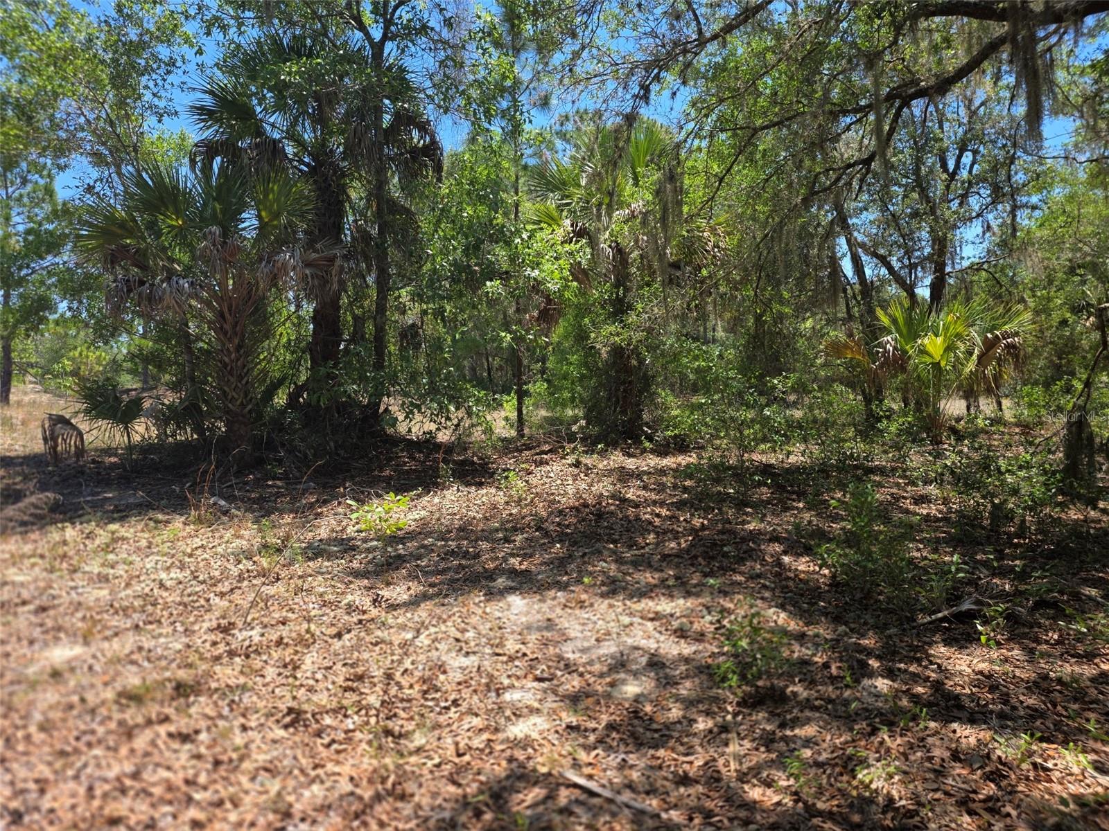 11837 N CAPTIVA TER, DUNNELLON, FL, 34433