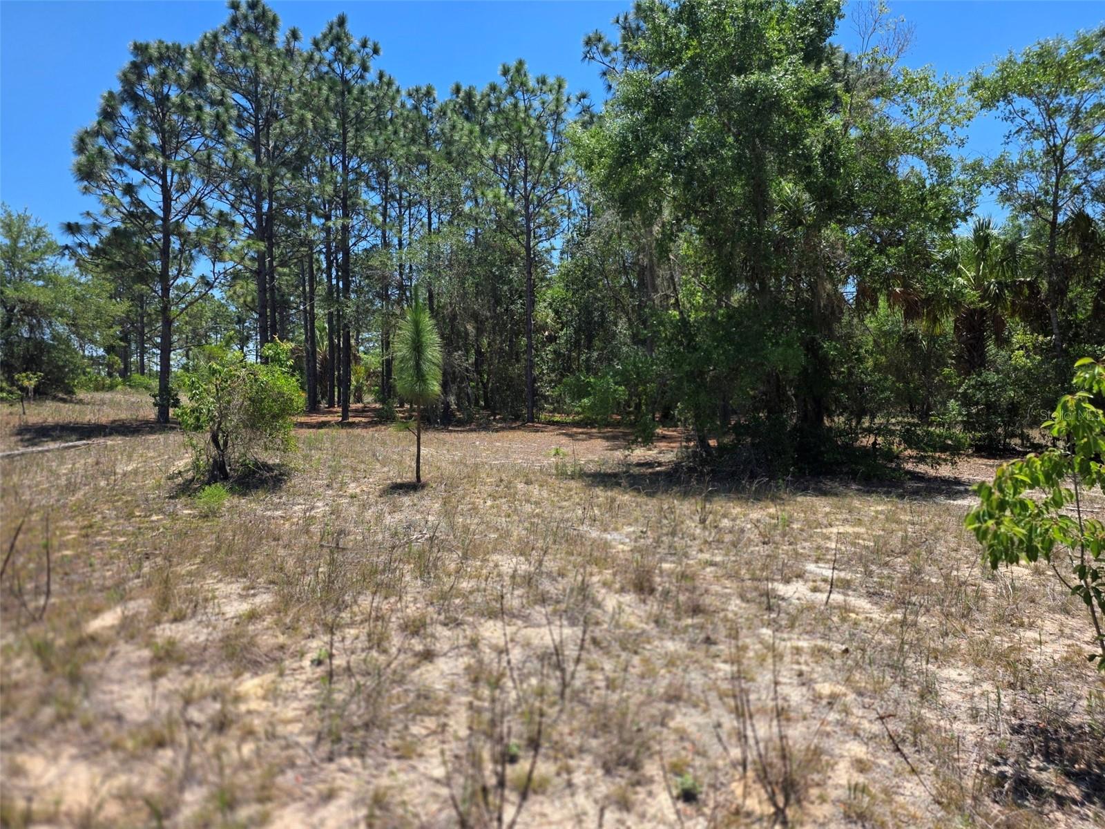 11837 N CAPTIVA TER, DUNNELLON, FL, 34433