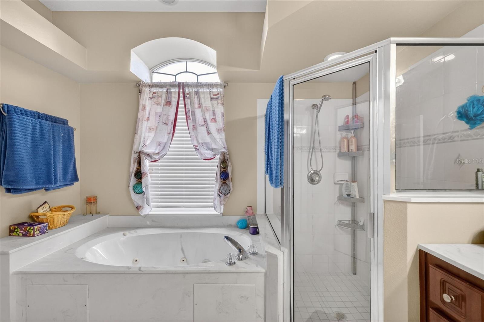 4783 SW 131ST PL, OCALA, FL, 34473