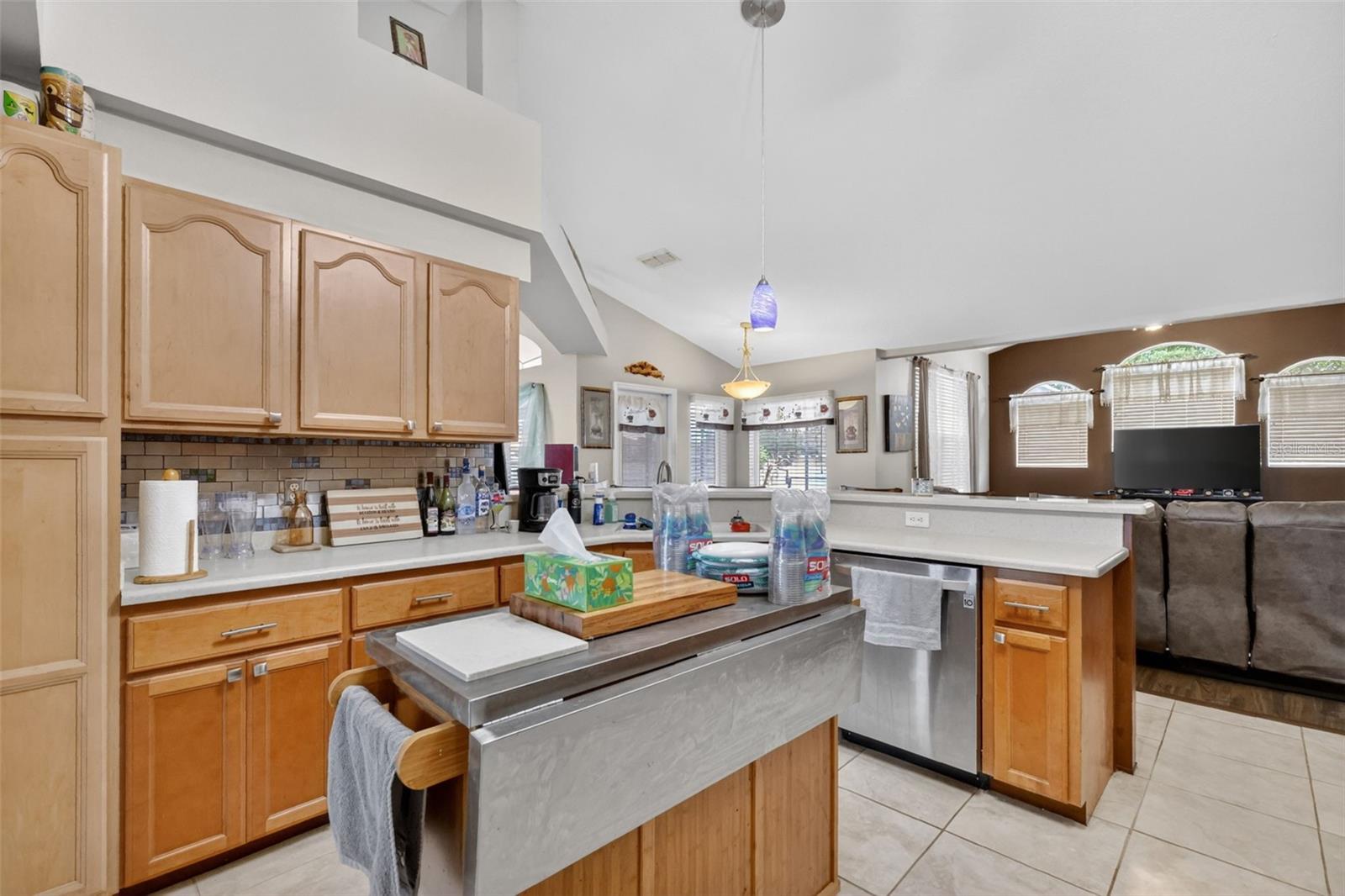4783 SW 131ST PL, OCALA, FL, 34473