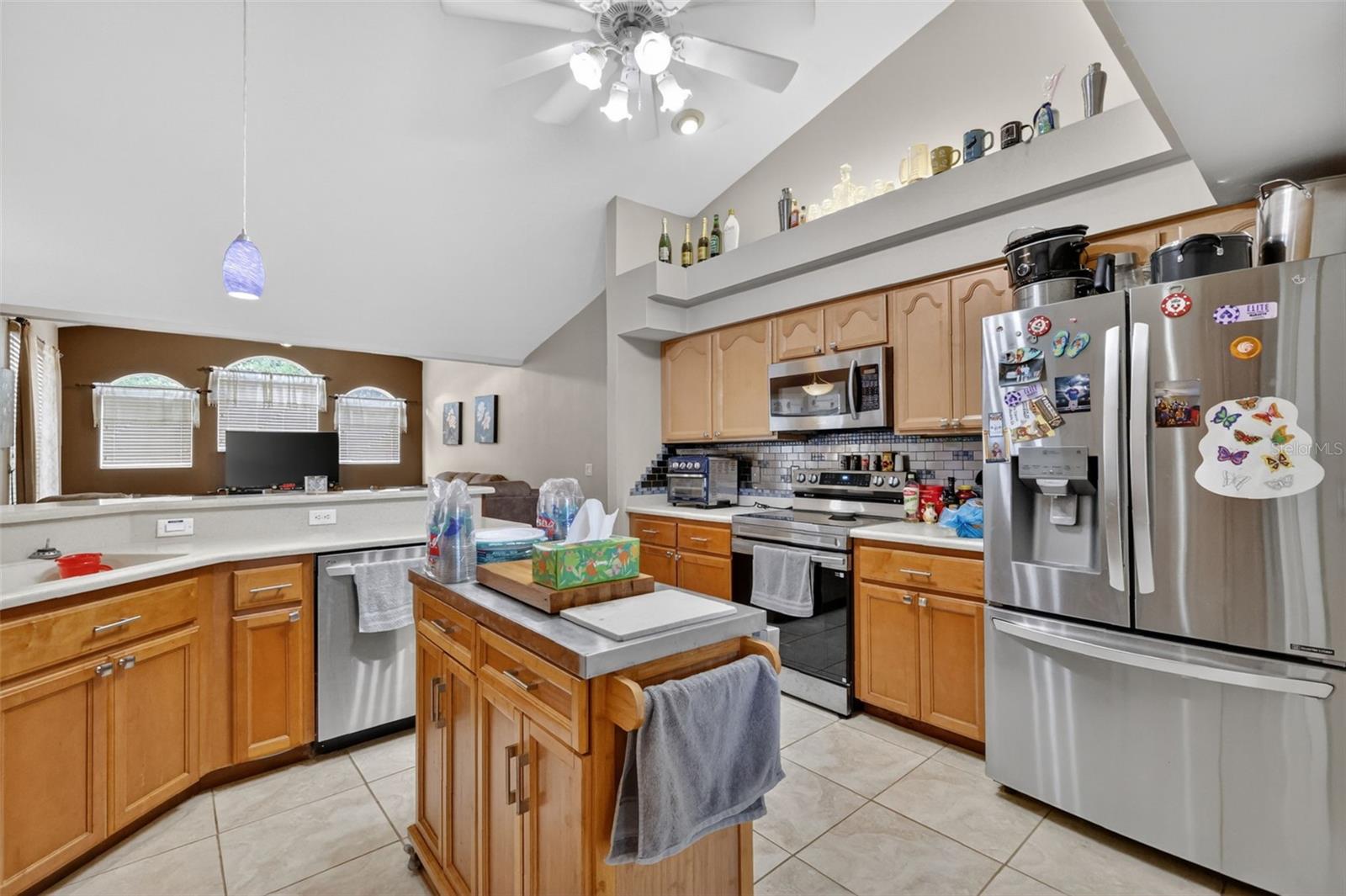 4783 SW 131ST PL, OCALA, FL, 34473