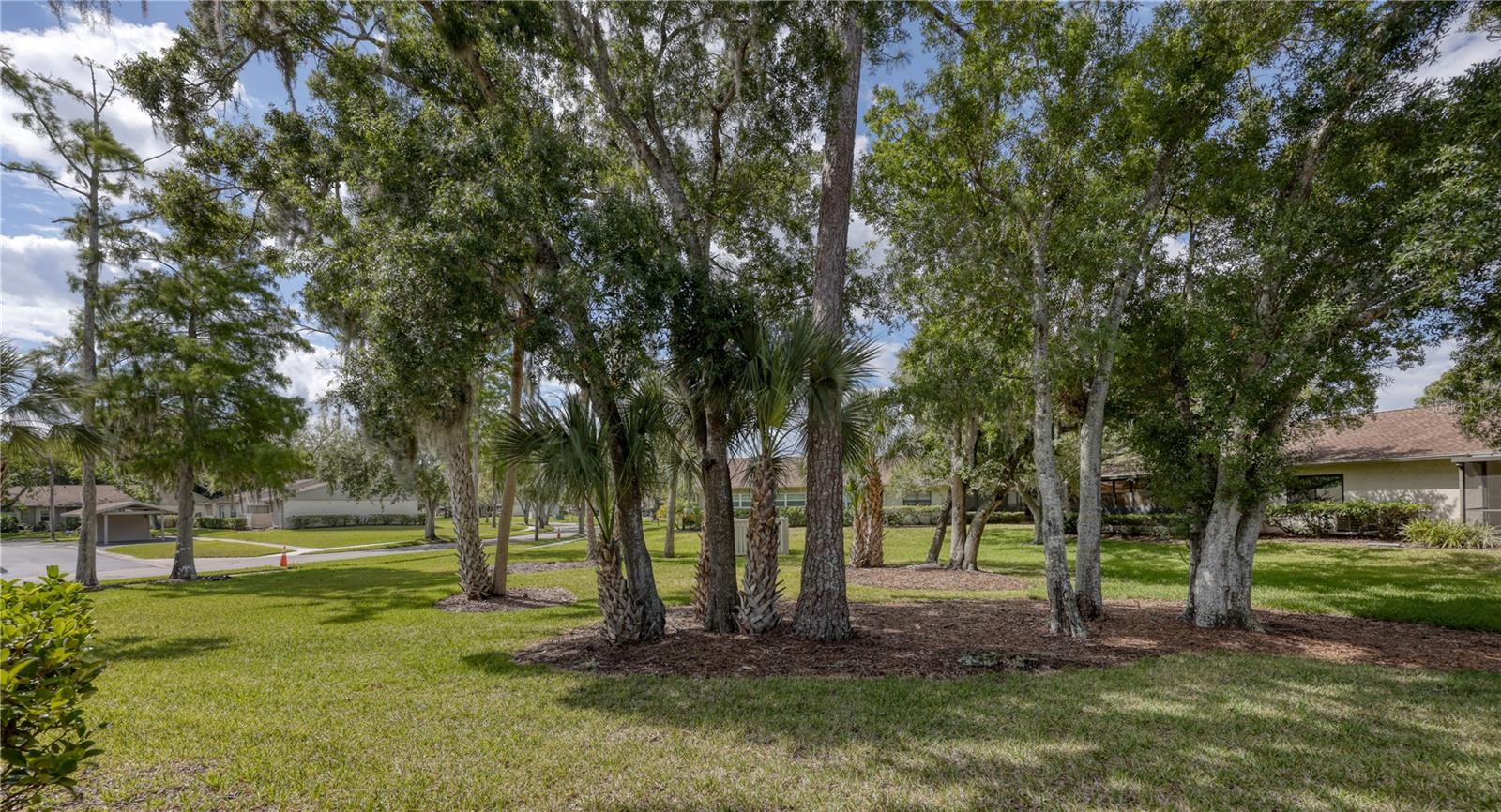 25 TADS TRL, OLDSMAR, FL, 34677