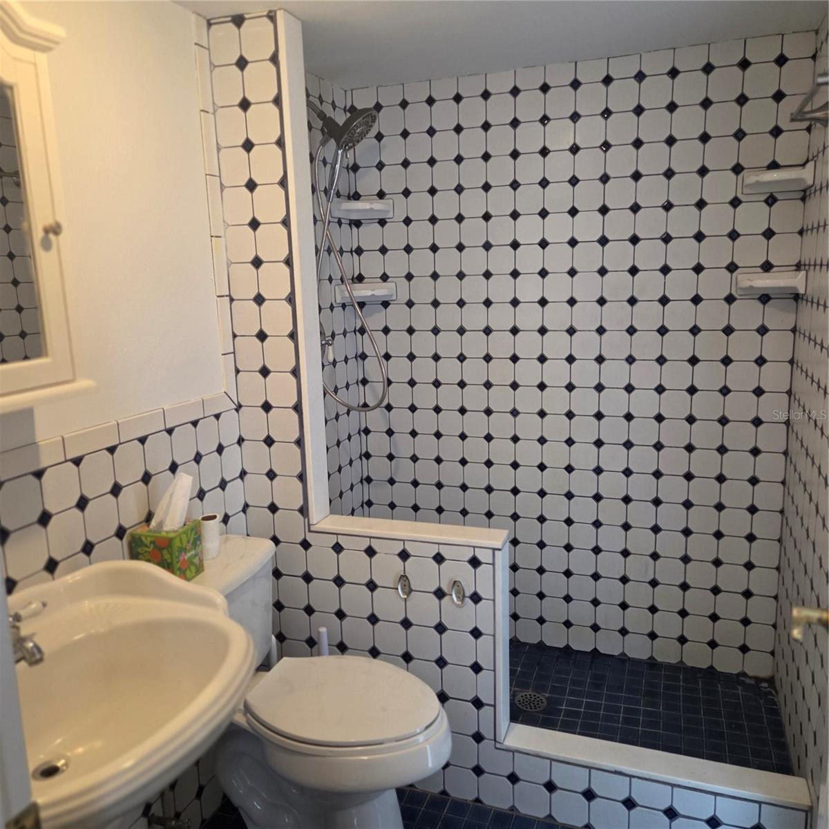 8205 WESTRIDGE DR, TAMPA, FL, 33615